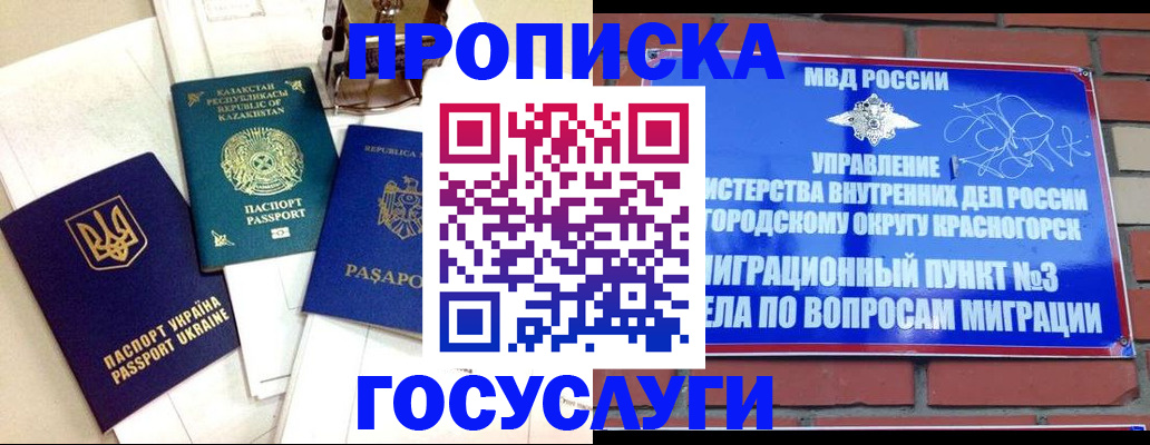 купить прописку в Павлово
